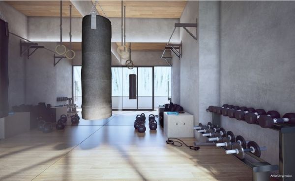 gym gym